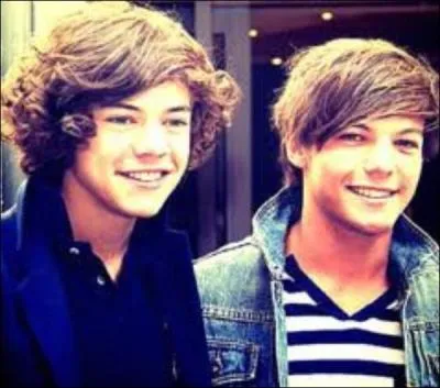 Harry Styles et Louis Tomlinson sont en couple :