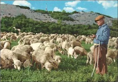 Indice métier : il faut aimer la nature, les animaux et la solitude.
Indice célébrité : celui qui chante au paradis immaculé.
Quel est le prénom de la célébrité ?