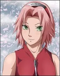 Naruto - Dans quel village Sakura Haruno est-elle née ?