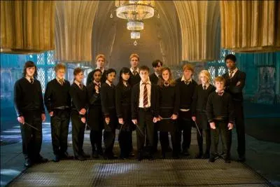 L'Armée de Dumbledore, connue aussi sous le nom de A.D, est une organisation secrète fondée par les membres de la maison Gryffondor afin d'enseigner aux élèves le souhaitant de nouvelles techniques magiques. Quelle est donc la matière qui est enseignée ?