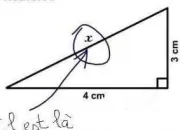 Quiz Vive les mathmatiques !