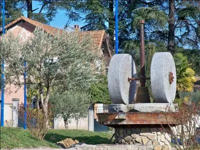 Quelle ville, la plus peuplée des Alpes-de-Haute-Provence, bâtie à l'est du massif du Luberon, connaît un renouveau en oléiculture ?