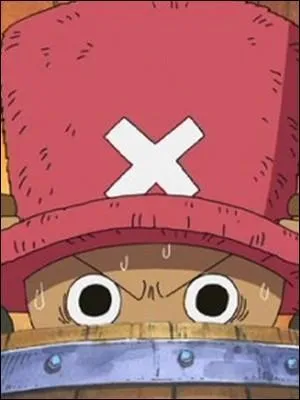 Épisode 131  Après Alabasta, Chopper passe la journée avec quelqu'un et lui raconte ses débuts en tant que médecin. De qui s'agit-il ?