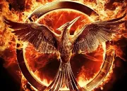 Quiz Hunger Games