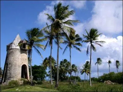 Comment appelle-t-on l'île de Marie-Galante ?