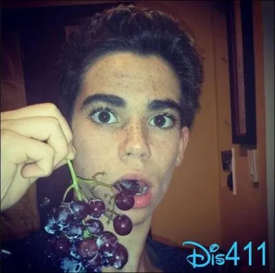 Quelle est la date d'anniversaire de Cameron Boyce ?