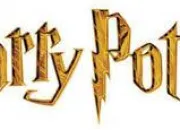 Quiz Harry Potter : les mtiers