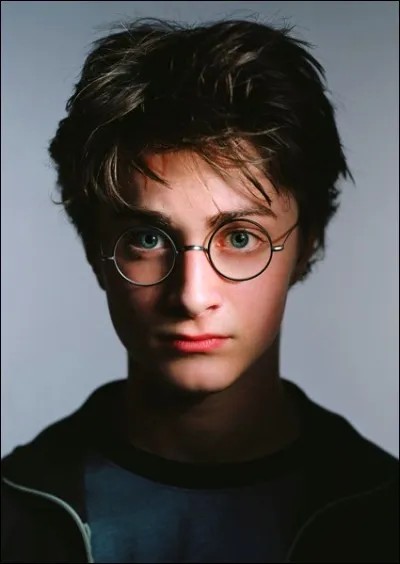 Harry est-il fils unique ?