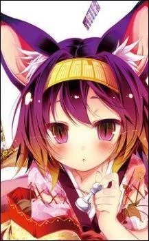 Dans l'anime "No Game No Life", combien de races nommées Exceeds existent-ils ?