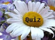 Quiz  fleur de quiz