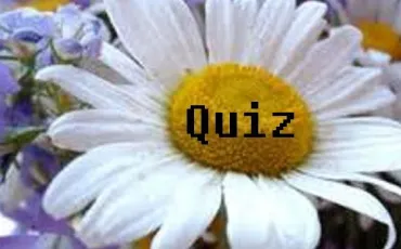 Quiz Langue franaise