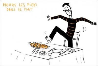 Quelle est la signification de l'expression "mettre les pieds dans le plat" ?