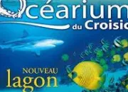 Quiz Activit estivale (1) - L'Ocarium du Croisic