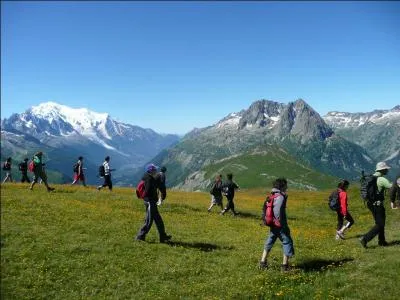 La randonnée pédestre est une activité de plein air qui consiste à suivre obligatoirement un itinéraire balisé. (Un conseil : lisez attentivement les affirmations ! )