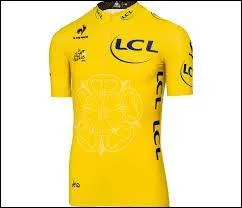 Quel coureur a réussi à faire le doublé maillot jaune-maillot à pois à l'issue de cette édition 2015 ?