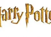 Quiz Harry Potter 1