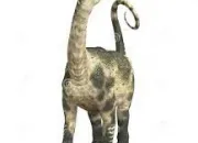 Quiz Des dinosaures (5) - L'antarctosaurus