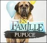 Pupuce est :