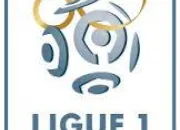 Quiz Ligue 1 : 2014-2015