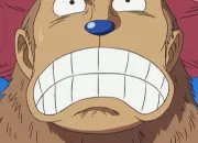 Quiz One Piece : Tony Tony Chopper