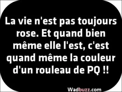 Quelle chanteuse interprétait 'La vie en rose' ?