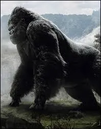 De quelle race de singe King Kong a-t-il l'apparence ?