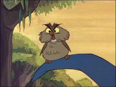 Comment s'appelle le hibou de Merlin l'Enchanteur ?