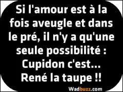 D'après une émission de téléréalité, où se trouve l'amour ?