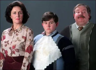 Où habitent les Dursley ?