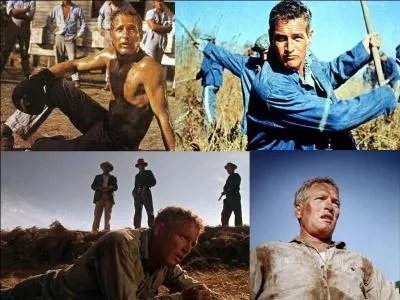 C'est une comédie américaine de 1967, il a été réalisé par Stuart Rosenberg.
Paul Newman, George Kennedy, Strother Martin font partie de la distribution. 
L'alcool peut amener à faire des bêtises. Résultat, laccusé se retrouve en prison Saura-t-il s'en sortir ?
Quel est ce film ?