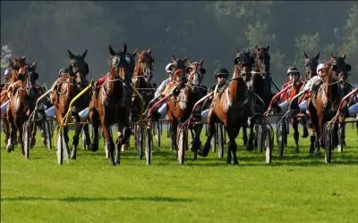 Il existe deux types de courses de trot, lesquels ?