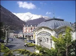 Francine va part dans le Sud-Ouest de la France faire une cure à Cauterets. Elle doit se rendre dans le département ...