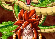 Quiz Dragon Ball 5