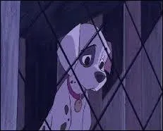 Dans quel épisode d'Ouragan, Patch trouve-t-il comment sortir de la cage en bois dans "Les 101dalmatiens" ?