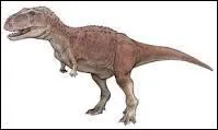 Quel est ce dinosaure qui mesure 6, 5 à 9 mètres de long, 3 m de haut et qui pèse environ 1, 5 tonne ?