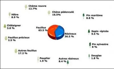 Puisque nous y sommes, quels sont les arbres les plus répandus en France (par ordre décroissant) ? - "Monsieur, on a le droit de se servir de l'image ? - Oui, bien sûr ! "