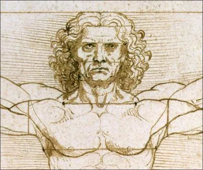 Combien de bras possède "L'Homme de Vitruve" de Léonard de Vinci ?