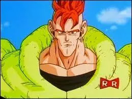 Qui est-ce ? (Dragon Ball Z)