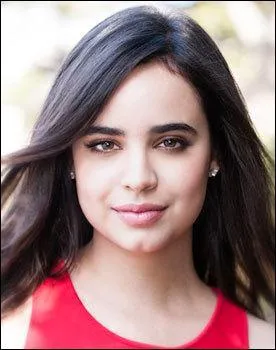 Dans quelle série voit-on Sofia Carson ?