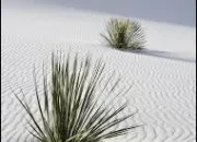 Quiz Les pieds dans le sable