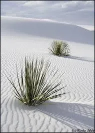 Dans quel pays peut-on voir ces dunes de gypse de White Sands ?