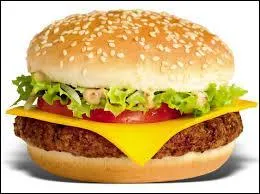 Quel est ce burger ?