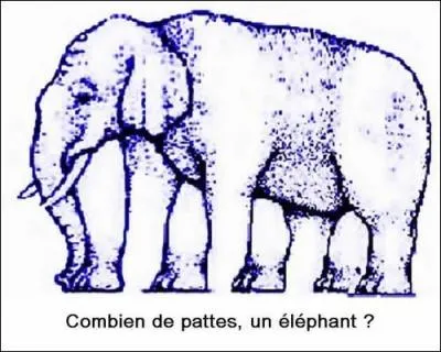 Combien de pattes a cet éléphant ?