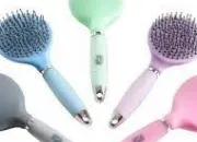 Quiz Les brosses de pansage