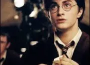 Quiz 12 petits secrets sur l'univers de Harry Potter (1)