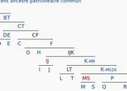 Quiz L'Odysse gntique des Europens