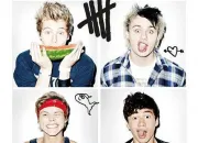 Quiz 5 Seconds Of Summer