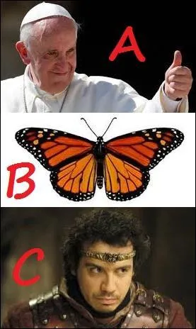 Laquelle de ces propositions a un point commun étroit avec le papillon de la proposition B ?