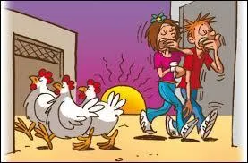 Que signifie l'expression "Se coucher comme les poules" ?