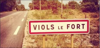 Voici la commune de Viols-le-Fort, située dans l'Hérault (Languedoc-Roussillon). Le maire de la ville est Pierre Louis, et les habitants sont appelés Violiens. On y trouve, entre autres, l'église Saint-Étienne. Quand la fête de la ville a-t-elle lieu, le jour de la mort de Saint-Étienne ?